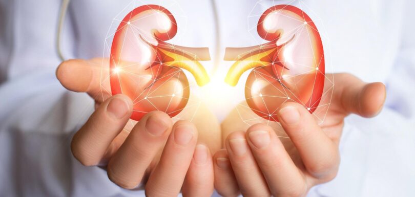 Kidney transplant surgery in India - procedure, donor options, and cost details.
