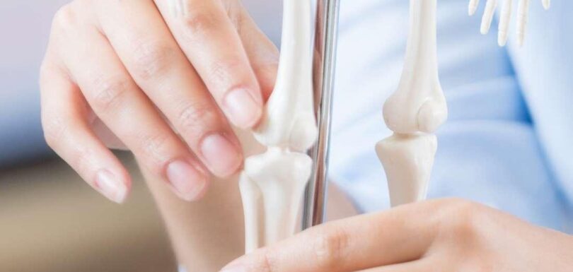 Types of Bone Marrow Transplants Explained