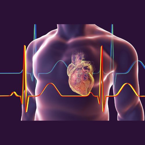 Heart valve repair and replacement surgery procedures explained