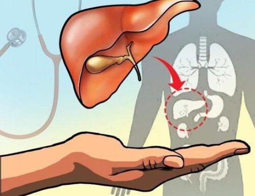 Liver transplant procedure in India