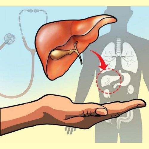 Liver transplant procedure in India