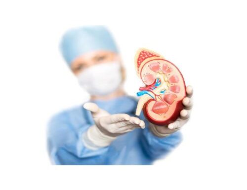Things to Know About Kidney Transplant In India